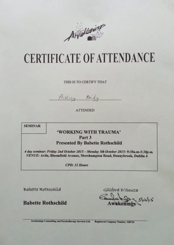 Babette Rothschild certificate of attendance for Working with Trauma